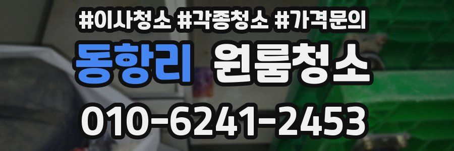 동항리 이사청소