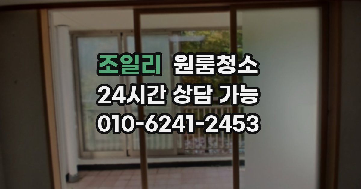 조일리 입주청소