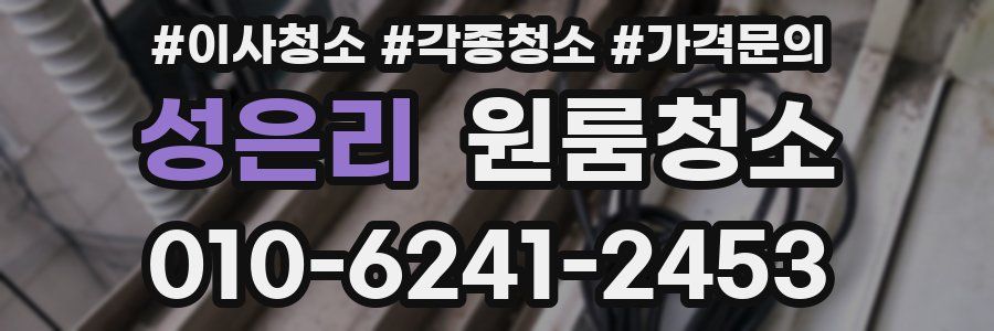 성은리 이사청소