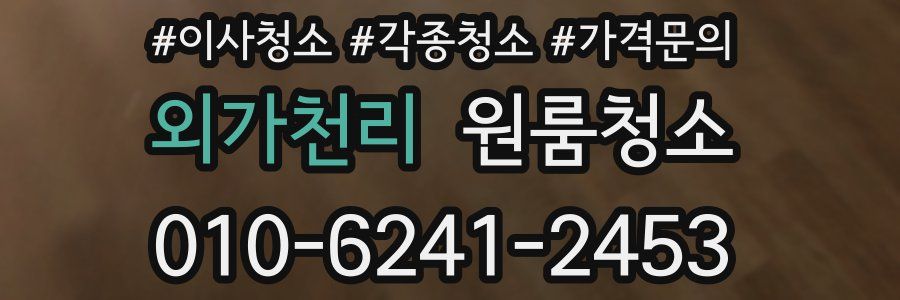 외가천리 이사청소