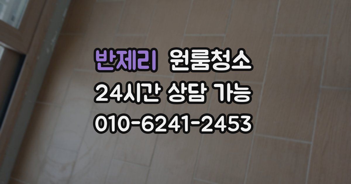 반제리 입주청소