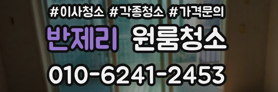 반제리 이사청소