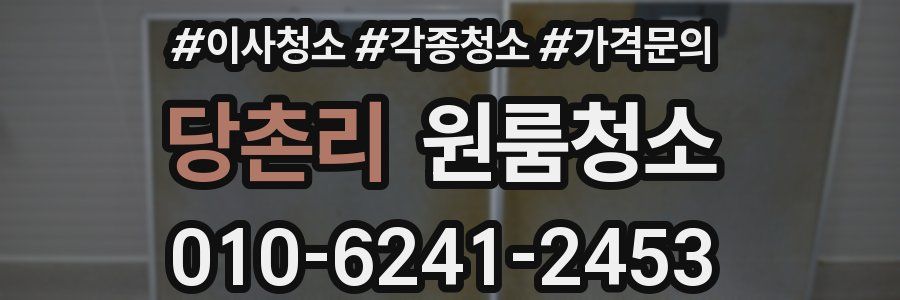 당촌리 이사청소