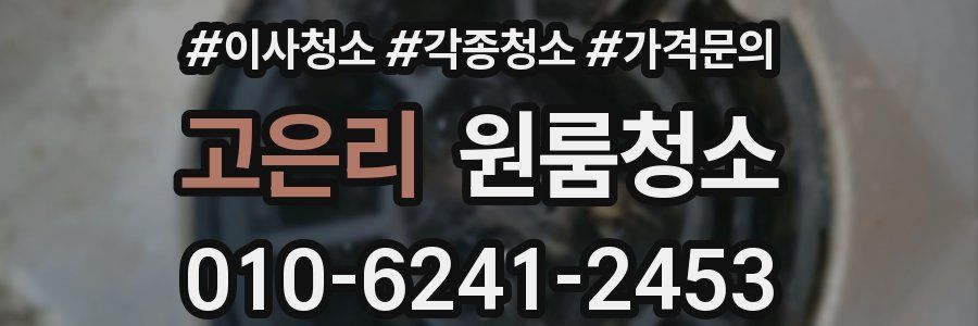 고은리 이사청소