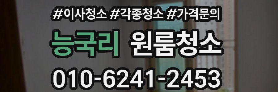 능국리 이사청소