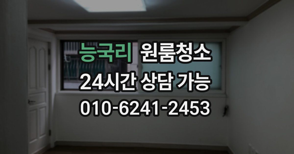 능국리 입주청소