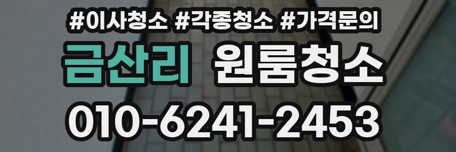 금산리 이사청소