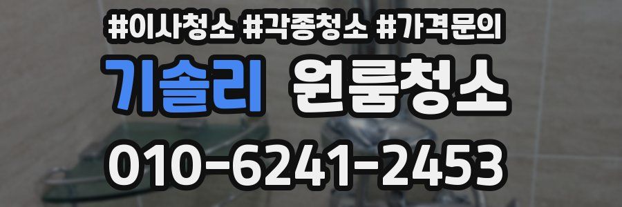 기솔리 이사청소