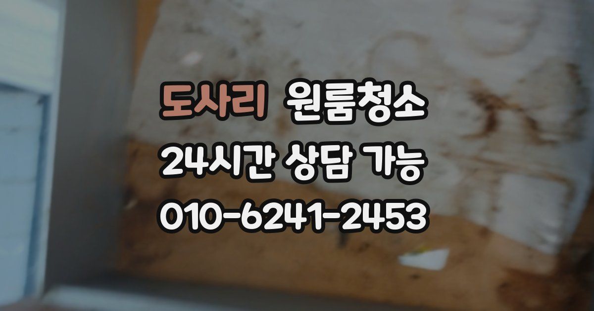 도사리 입주청소