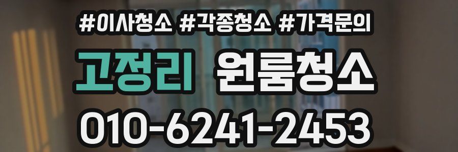 고정리 이사청소