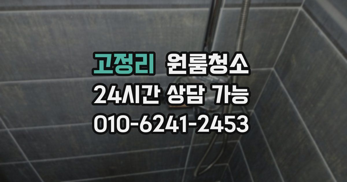 고정리 입주청소