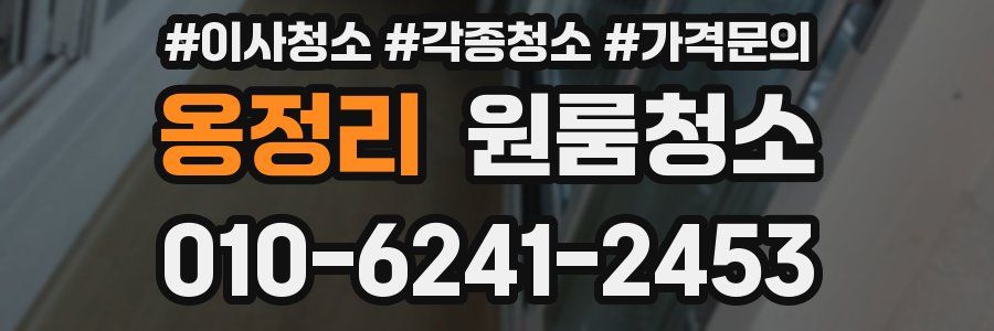 옹정리 이사청소