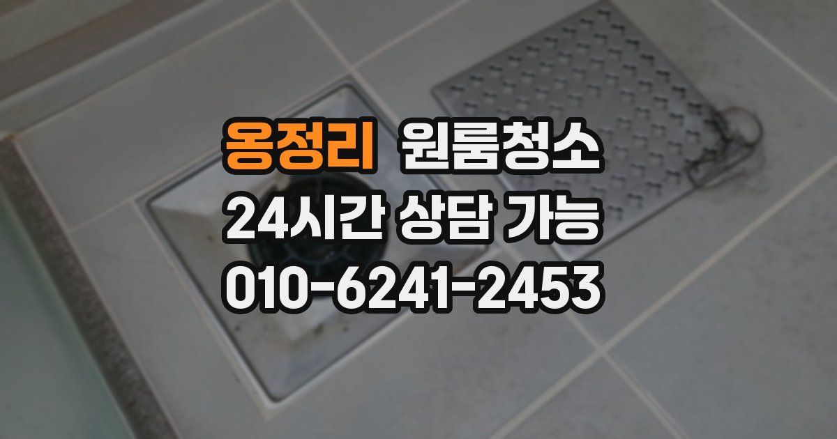 옹정리 입주청소