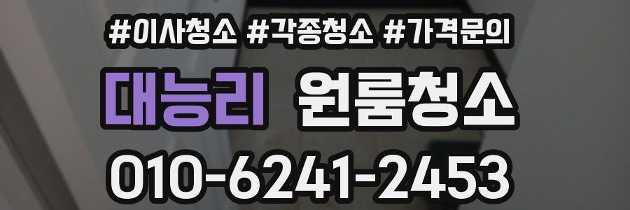 대능리 이사청소