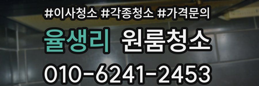 율생리 이사청소