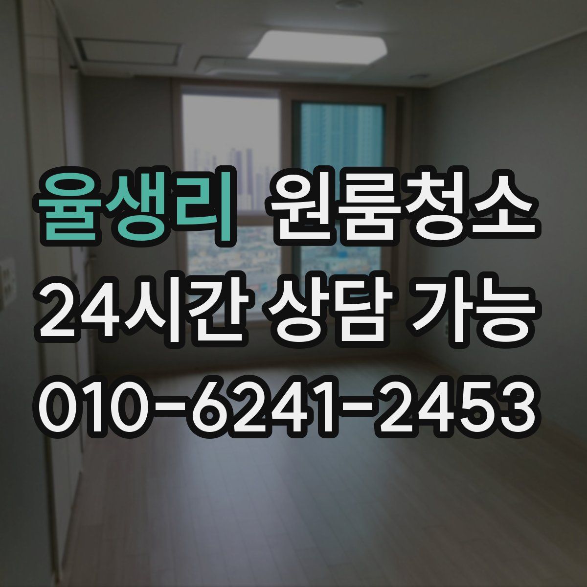 율생리 원룸청소