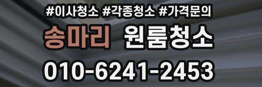 송마리 이사청소