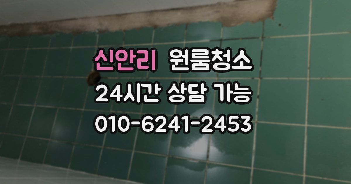 신안리 입주청소