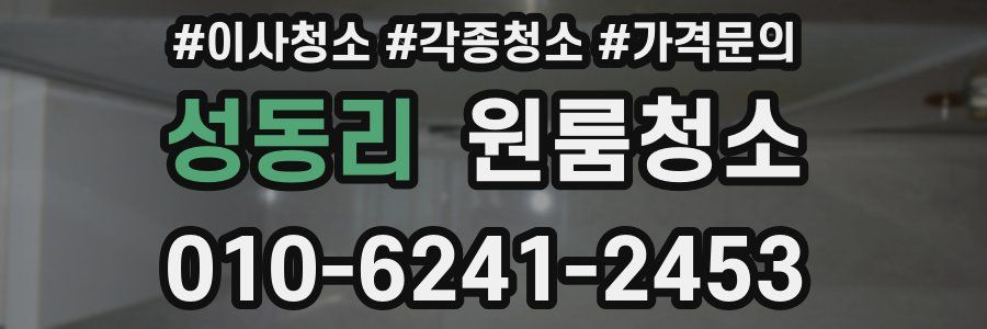 성동리 이사청소