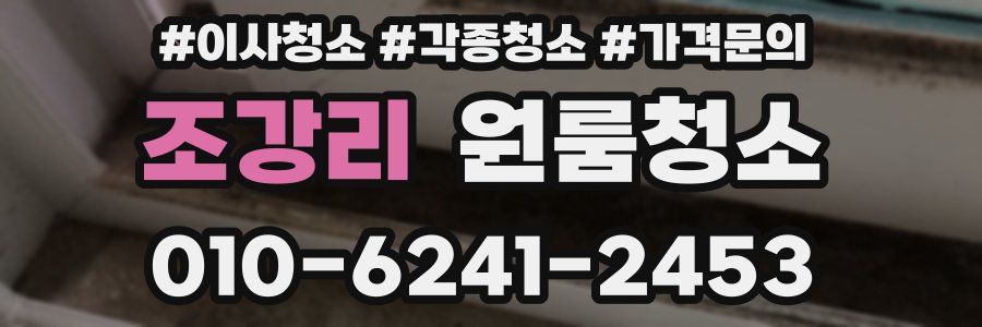 조강리 이사청소