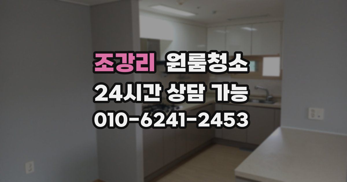 조강리 입주청소