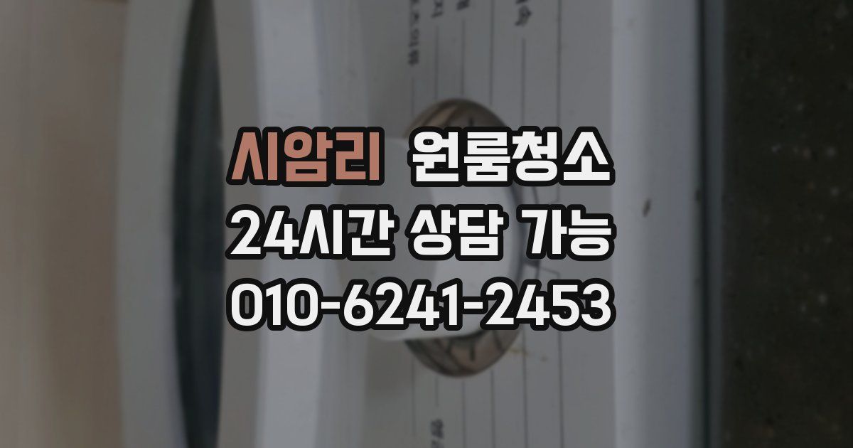 시암리 입주청소