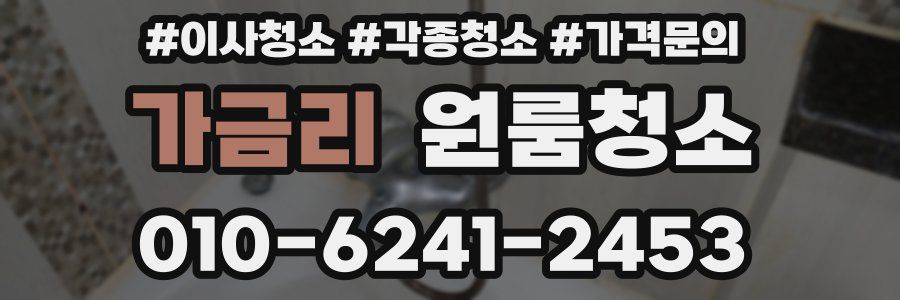 가금리 이사청소