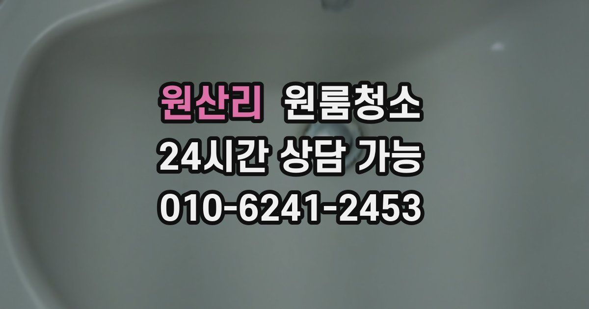 원산리 입주청소