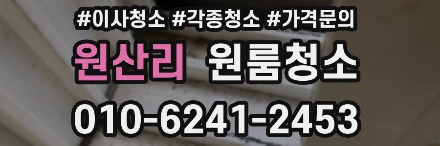 원산리 이사청소