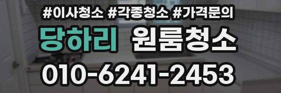 당하리 이사청소