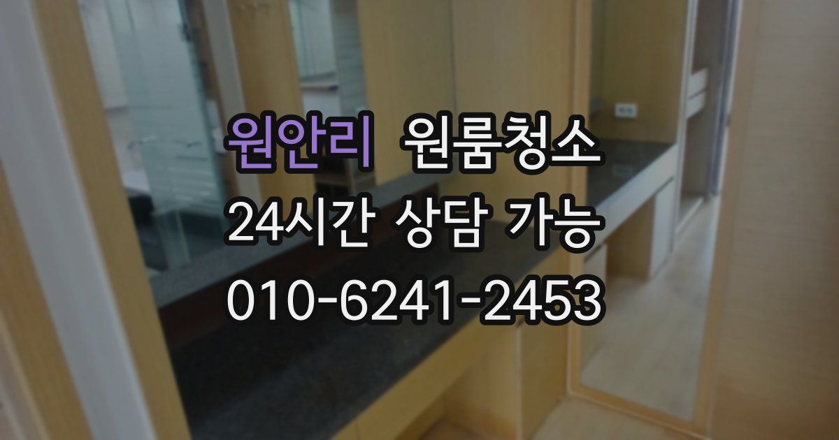 원안리 입주청소