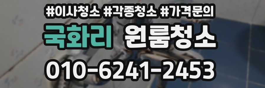 국화리 이사청소