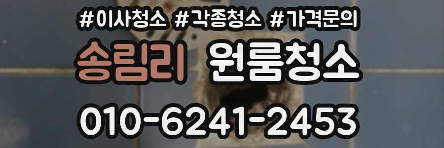 송림리 이사청소