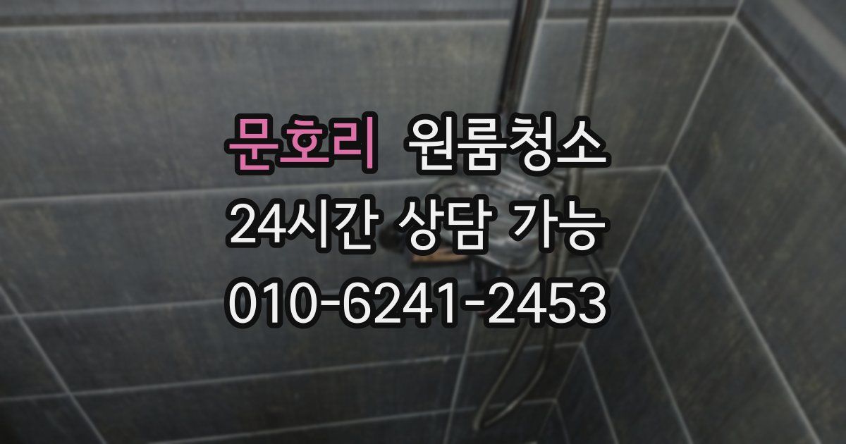 문호리 입주청소