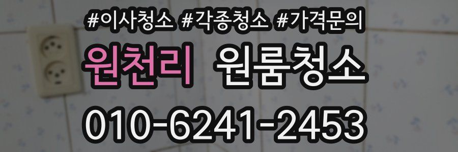 원천리 이사청소