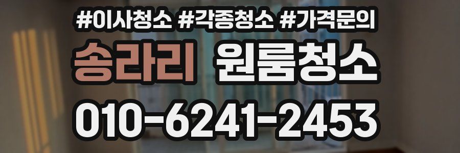 송라리 이사청소