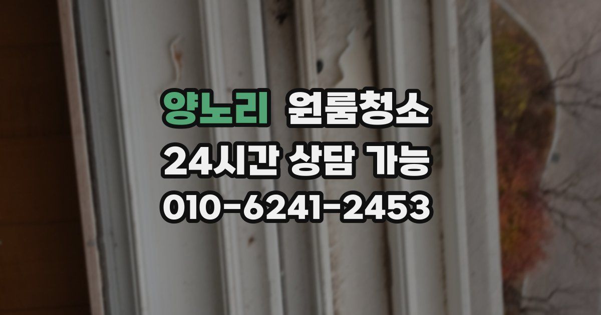 양노리 입주청소