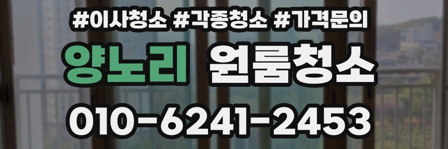 양노리 이사청소