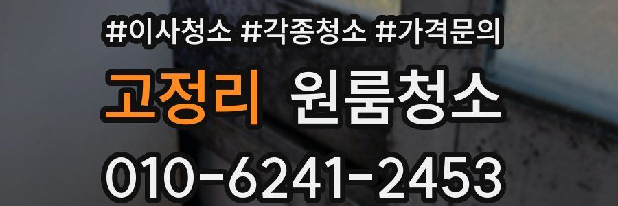 고정리 이사청소