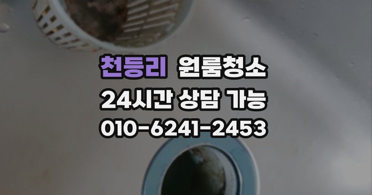 천등리 입주청소