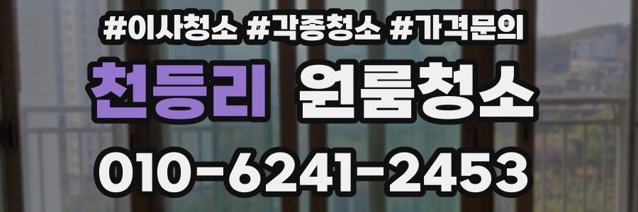 천등리 이사청소