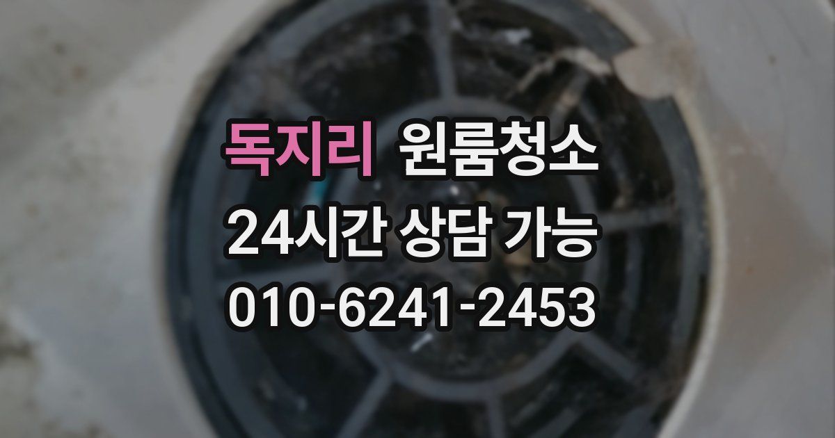 독지리 입주청소