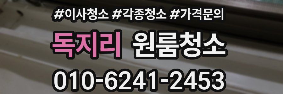 독지리 이사청소