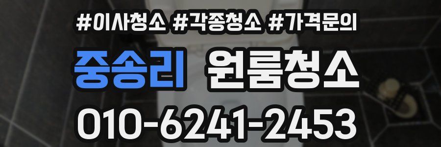 중송리 이사청소