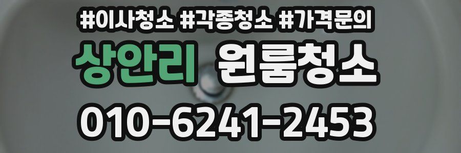 상안리 이사청소