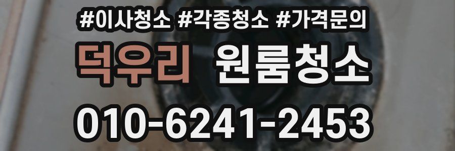 덕우리 이사청소