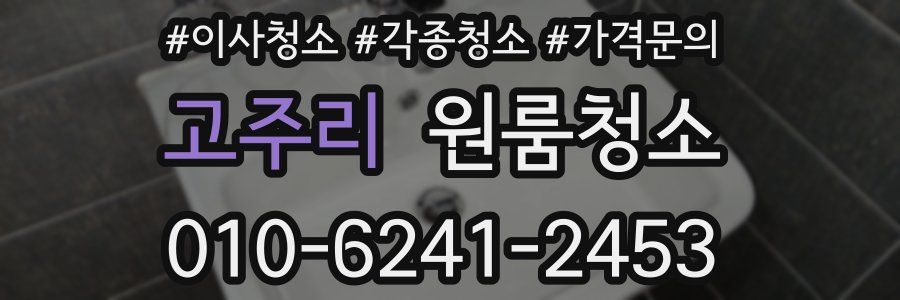 고주리 이사청소