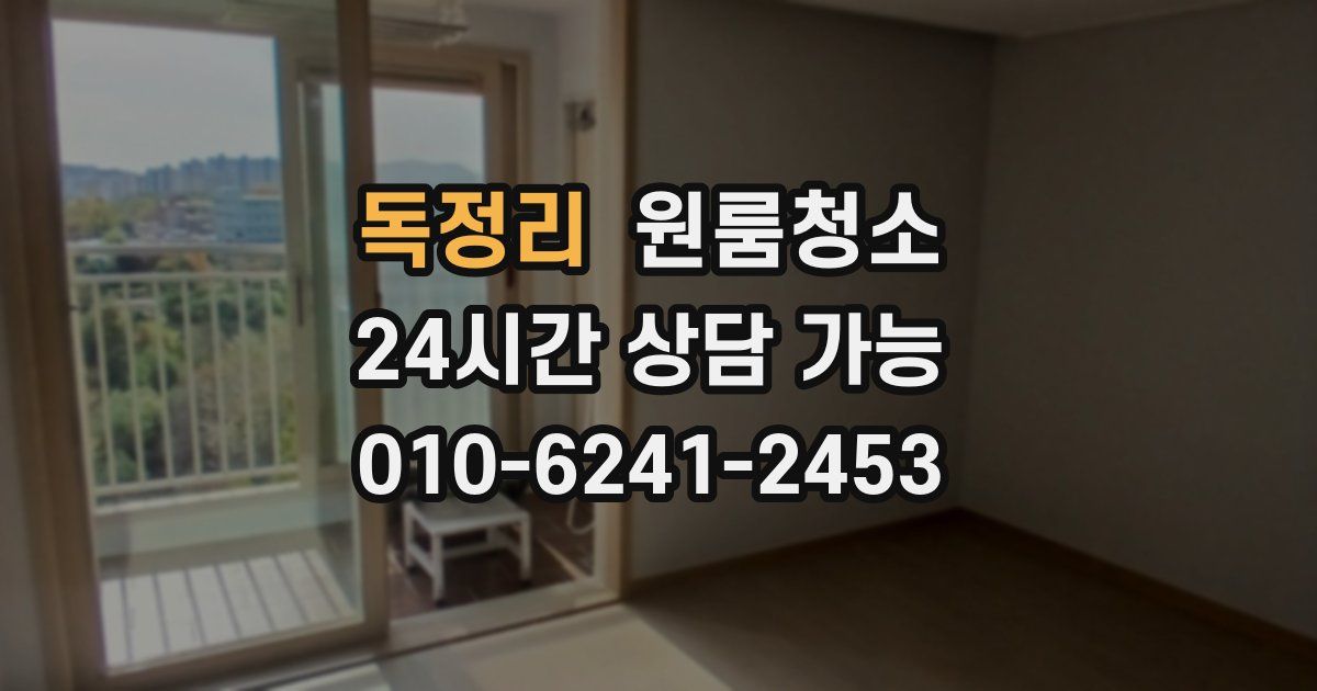 독정리 입주청소