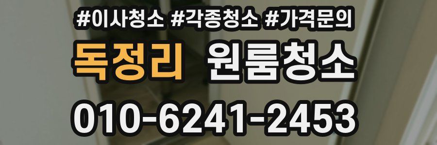 독정리 이사청소