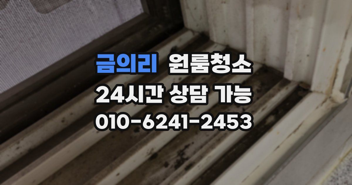 금의리 입주청소